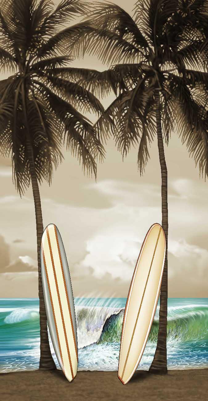 SURFING BOARDS CALIFORNIA FLORIDA
